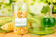 Newdigate biofuel availability