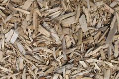 biomass boilers Newdigate
